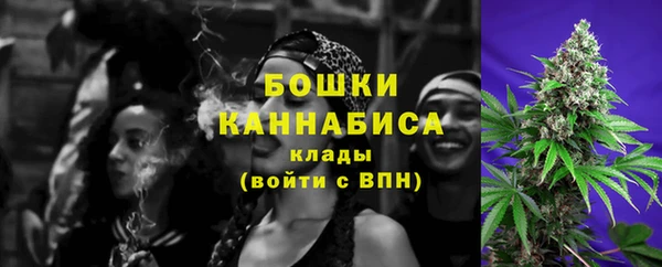 крисы Бронницы
