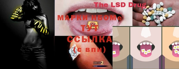 дмт Бородино