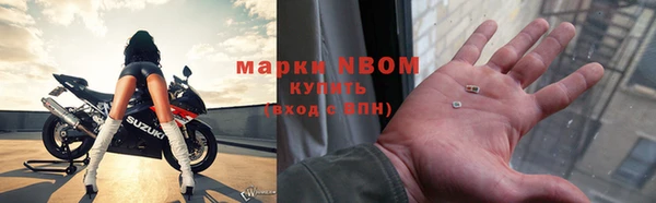 дмт Бородино