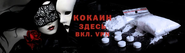 дмт Бородино