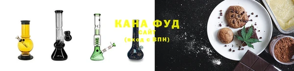 дмт Бородино