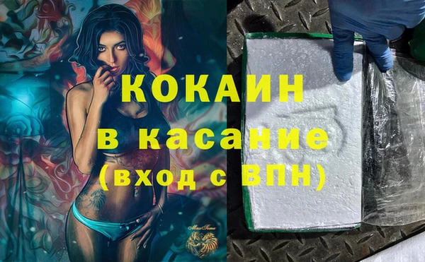 дмт Бородино