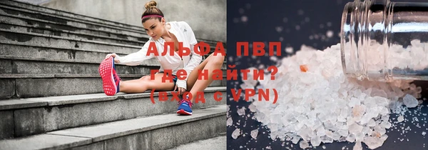 дмт Бородино
