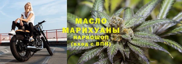 дмт Бородино
