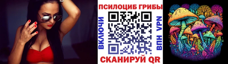 кракен ONION  Горячий Ключ  Псилоцибиновые грибы Psilocybine cubensis 
